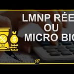 LMNP régime réel ou micro BIC : comment choisir ?