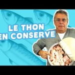 Thon ou saumon régime : les meilleurs choix pour perdre du poids