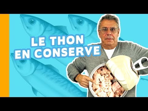 Thon ou saumon régime : les meilleurs choix pour perdre du poids